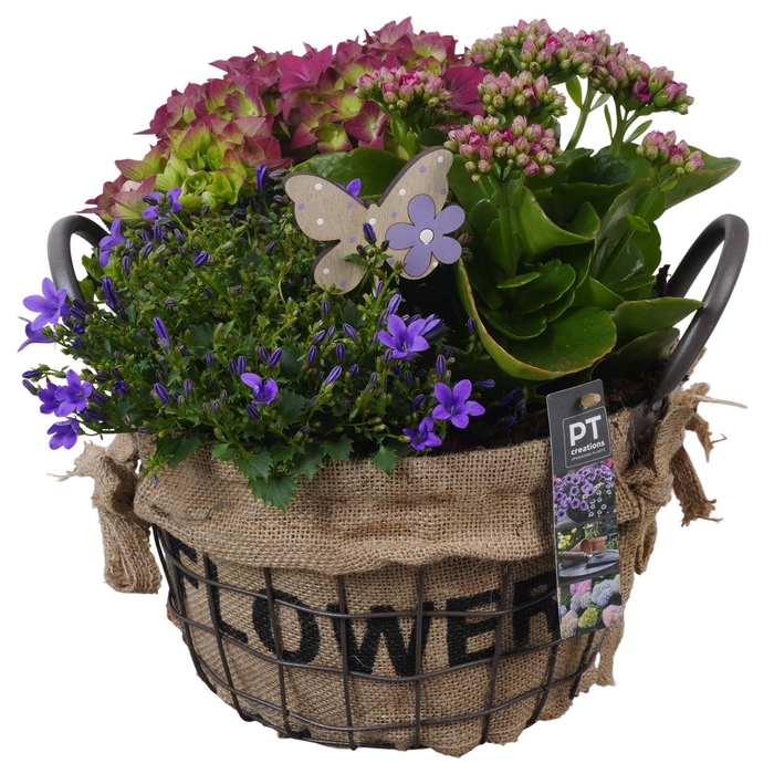 <h4>PTPP6917 Arrangement Patio in metalen pot</h4>