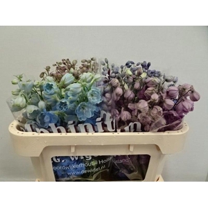 Delph Mix In Bunch Wigchert