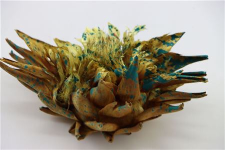 Dried Artz Cynara Heads Van Gogh