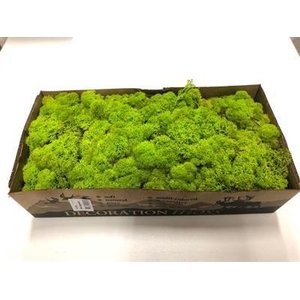 IJSLANDSMOS NR 55 SPRINGGREEN P.DS