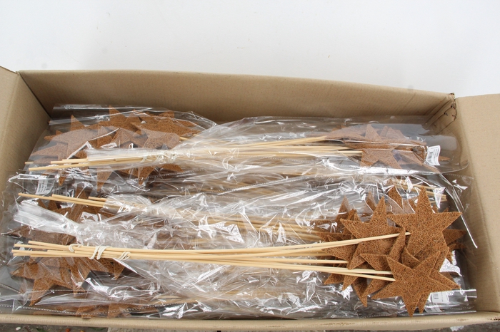 <h4>Stick Star Mulch 11cm</h4>