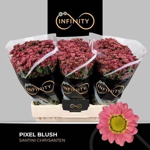 CHR S PIXEL BLUSH ANGEBOT