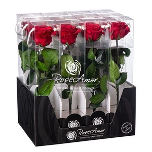 Display 30cm Stem Red01