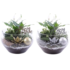 Christmas Arr. Indoor Glass Vase Ø25cm 4PP