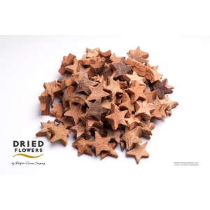 Dried Deco Coconut Star Natural