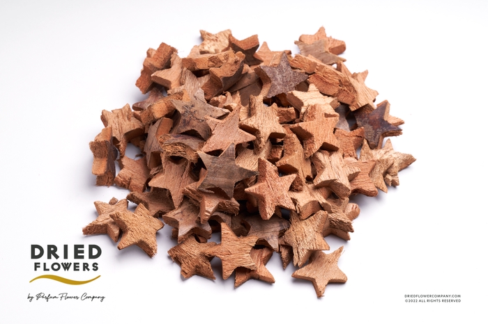 <h4>Dried Deco Coconut Star Natural</h4>