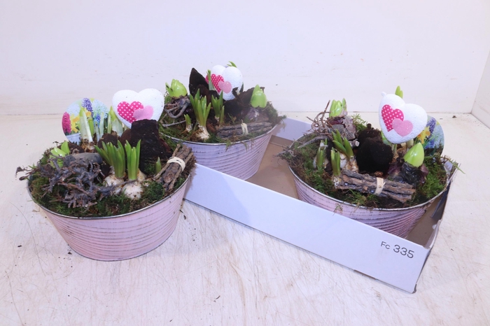 <h4>ARR BOL KNOLGEWAS</h4>