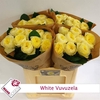 Rosa Garden Vuvuzela White