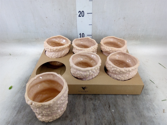 <h4>Pot   ...Keramische H%</h4>
