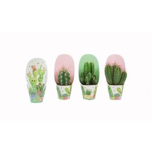 Cactus mix 5,5 cm in love potcover