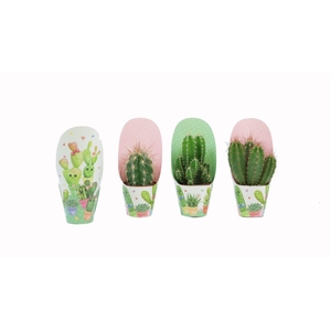 Cactus mix 5,5 cm in love potcover