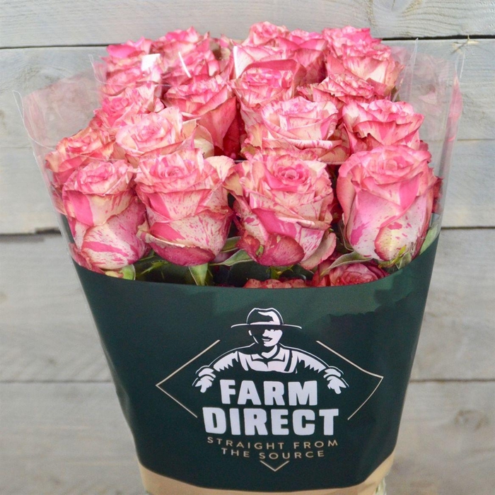 <h4>R Gr Magic Times</h4>