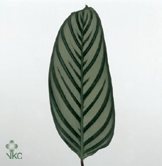 21994: Love outdoor arrangement