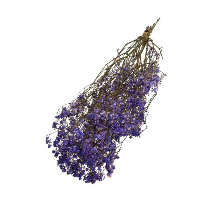 <h4>Dried flowers Gyps 70cm 50g</h4>