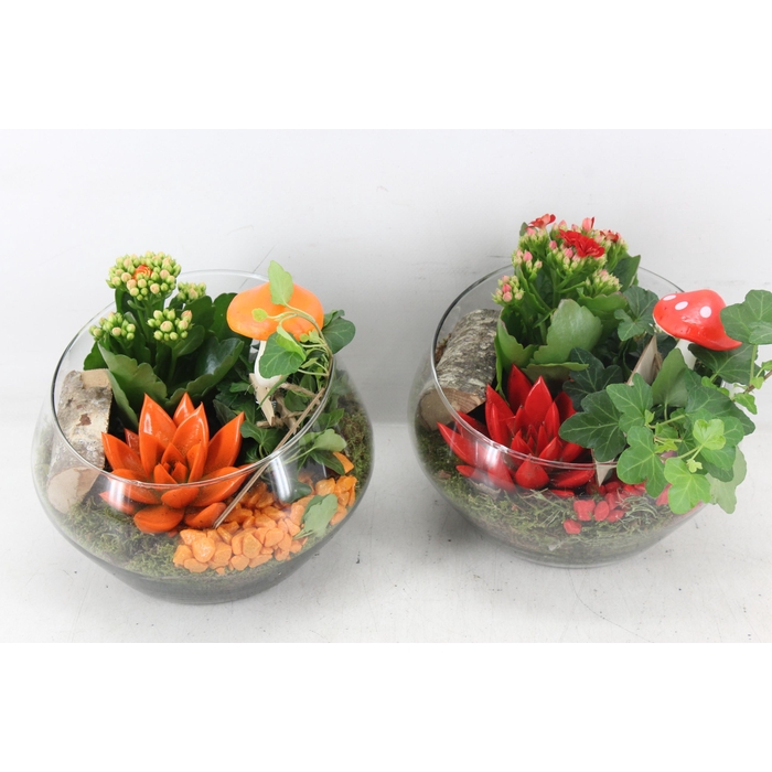 <h4>Arr2 Mb - Glas Halve Maan - Rood/oranje</h4>
