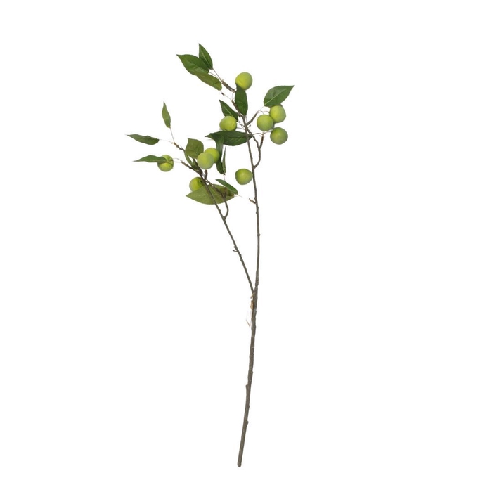 <h4>Plum Claude 76cm</h4>