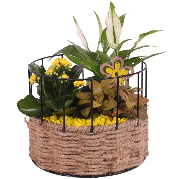 <h4>Opm Summer Arr. Indoor Metal Frame Rope Round</h4>