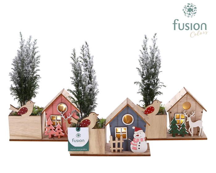 <h4>Kerst planter hout met verlichting met Chamaecyparis</h4>