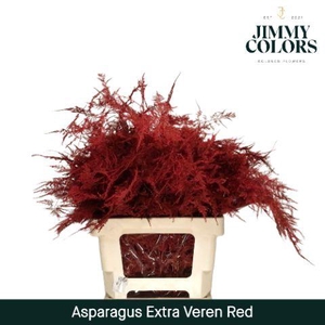 Aspa extra veren Red