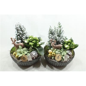 0026 ZWART RIBBEL BOOMPJE