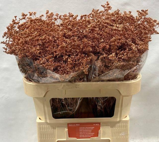 <h4>LIM OV KLB H%</h4>