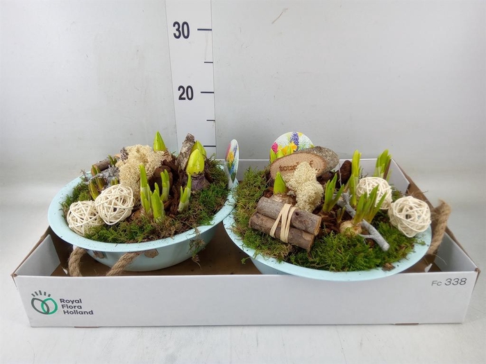 <h4>Arr.   Bol/Knolgewas L%</h4>