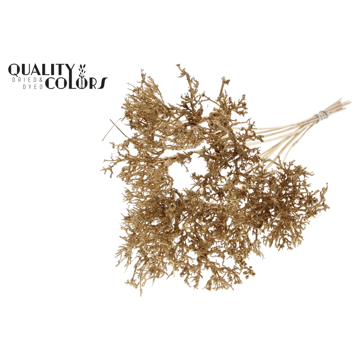 <h4>Dry Tree on stem Antique Gold</h4>