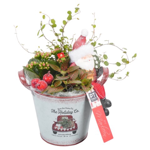 BMXM3401 ARRANGEMENT KERST BY MARLE