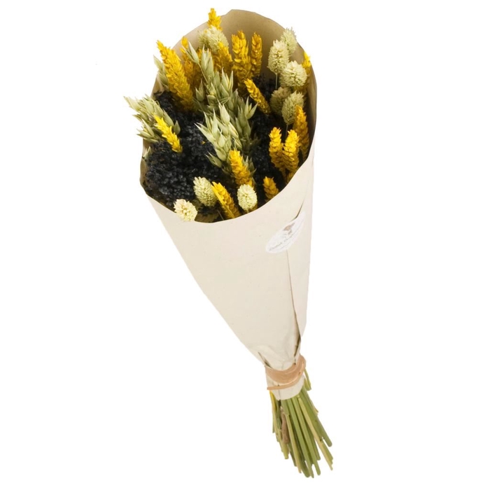 <h4>Bouquet Smart Alba 50cm mixed</h4>