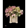 Eikeblad Moonshine 60cm