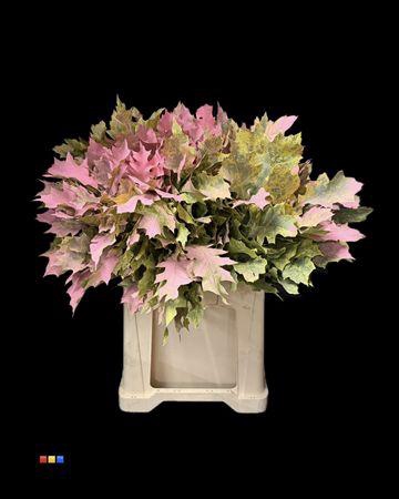 <h4>Eikeblad Moonshine 60cm</h4>