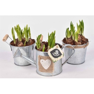 Zink mix blank met jute 10cm