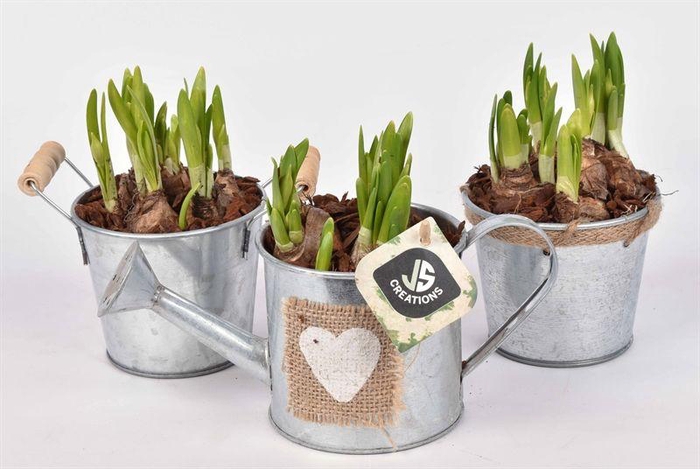 <h4>Zink mix blank met jute 10cm</h4>