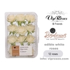 R EDIBLE ROSALICIOUS WHITE