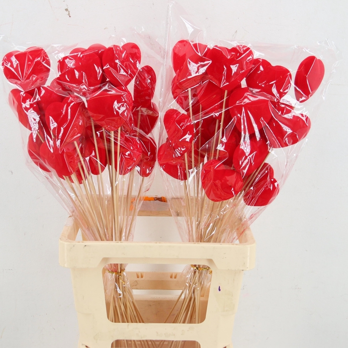 <h4>HARTJE OP STOK H%</h4>