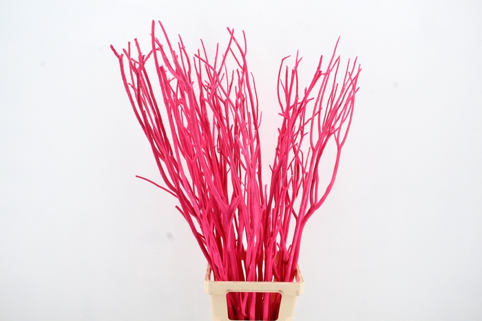 <h4>Mitsumata Flock Pink Bs(3)</h4>