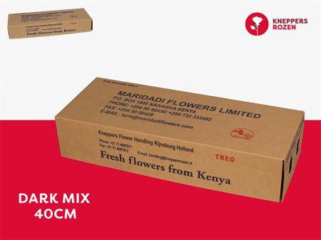 <h4>R Gr Dark Mix 40</h4>