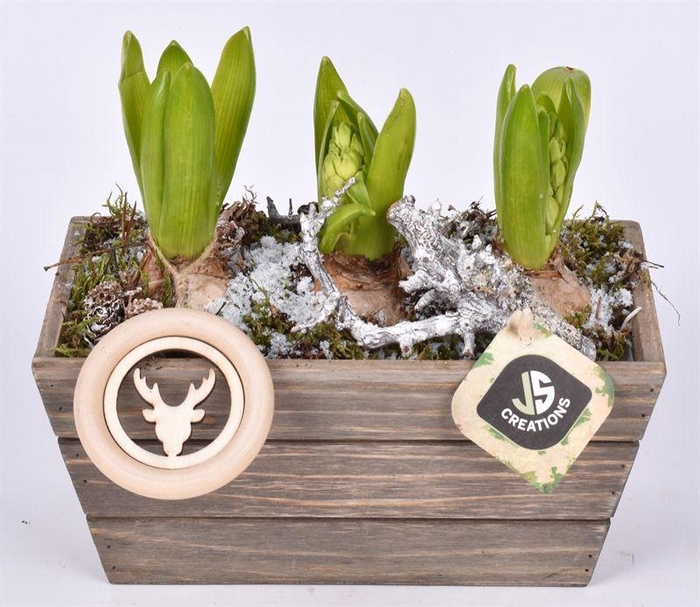 <h4>Hout rechthoek 22x13cm</h4>