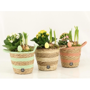 70984: Easter arrangement