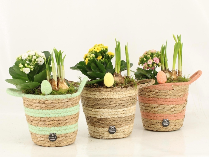 <h4>70984: Easter arrangement</h4>