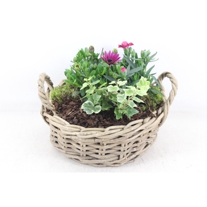 arr4 Outdoor PL - Kubu oor los