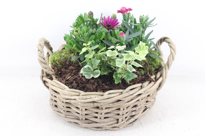 <h4>arr4 Outdoor PL - Kubu oor los</h4>