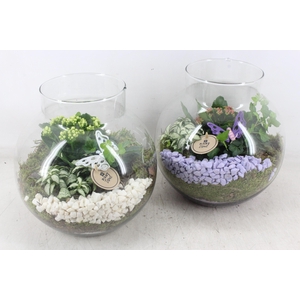 arr2 PL - Glas bol nek XL x2 - lila/wit