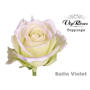 R GR BABY SATIN VIOLET R223