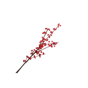 Ilex Berry Spray Red XM660066RED