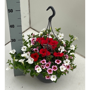 PERKPL GEM IN POT