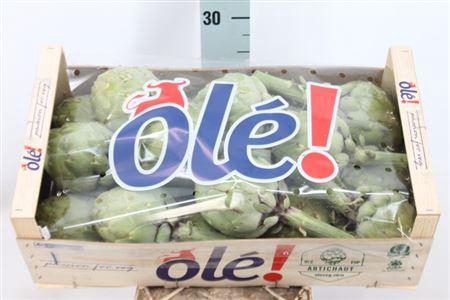 <h4>Cynara Sc Green In Box X18</h4>