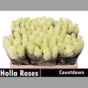 R GR COUNTDOWN!