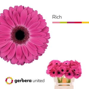 GE GR RICH