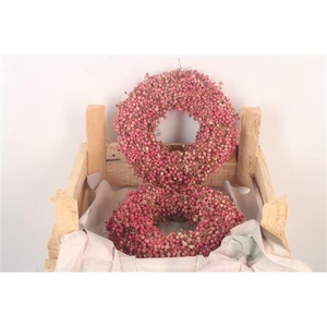 Krans Schinus 15cm X2